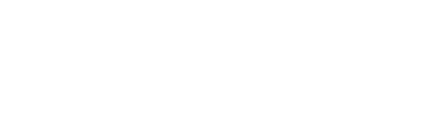 IgniPoint Logo